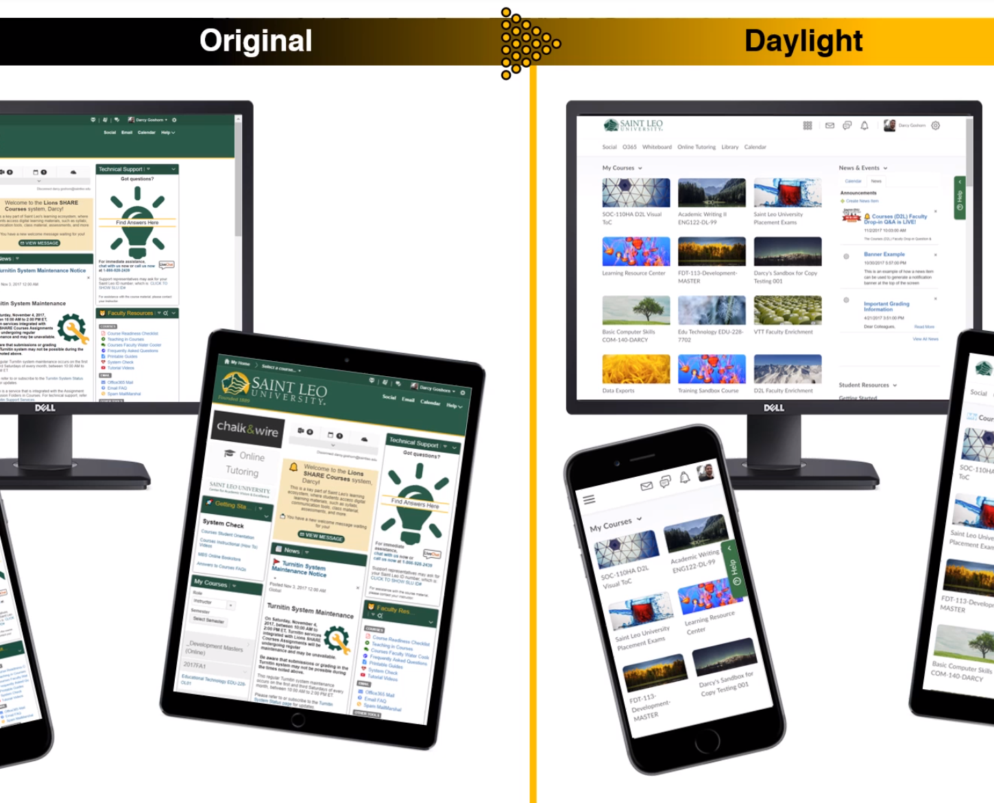 Courses Daylight Experience Tour faculty development videos